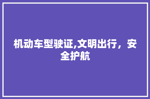 机动车型驶证,文明出行，安全护航