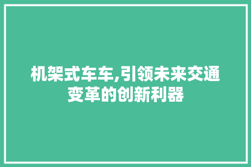 机架式车车,引领未来交通变革的创新利器
