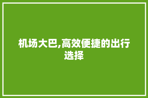 机场大巴,高效便捷的出行选择