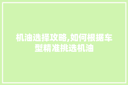 机油选择攻略,如何根据车型精准挑选机油