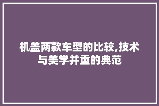 机盖两款车型的比较,技术与美学并重的典范