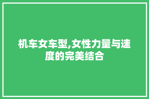 机车女车型,女性力量与速度的完美结合