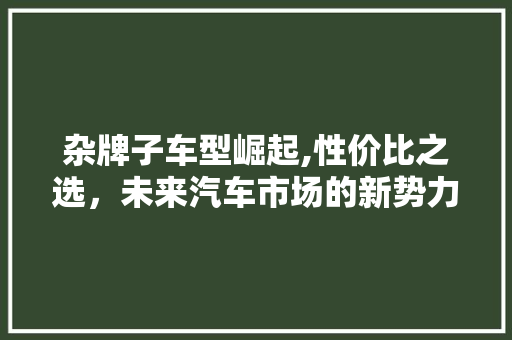 杂牌子车型崛起,性价比之选，未来汽车市场的新势力