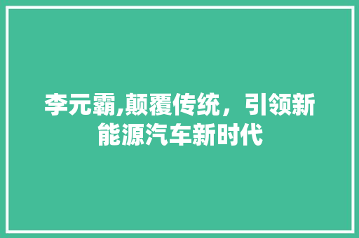 李元霸,颠覆传统，引领新能源汽车新时代