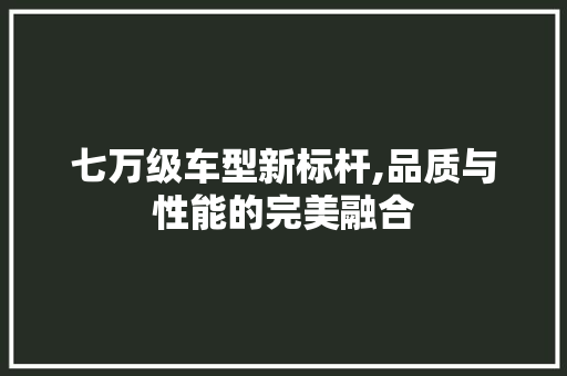 七万级车型新标杆,品质与性能的完美融合