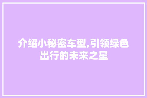介绍小秘密车型,引领绿色出行的未来之星