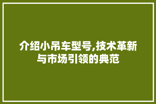 介绍小吊车型号,技术革新与市场引领的典范