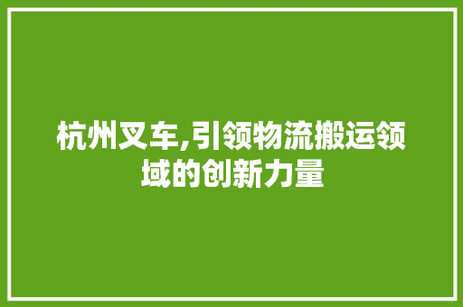 杭州叉车,引领物流搬运领域的创新力量