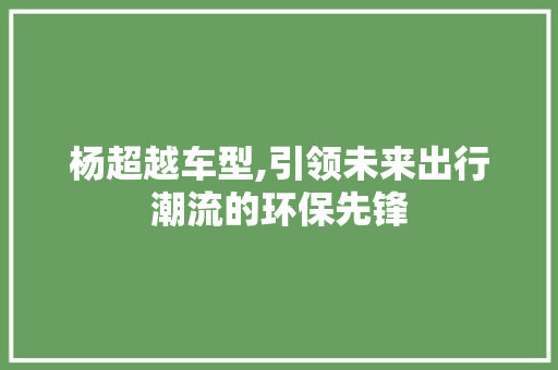 杨超越车型,引领未来出行潮流的环保先锋