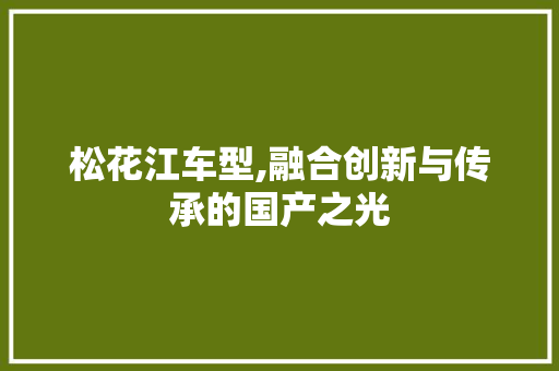 松花江车型,融合创新与传承的国产之光