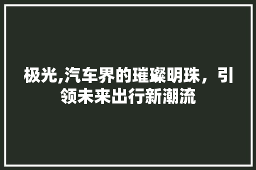极光,汽车界的璀璨明珠，引领未来出行新潮流