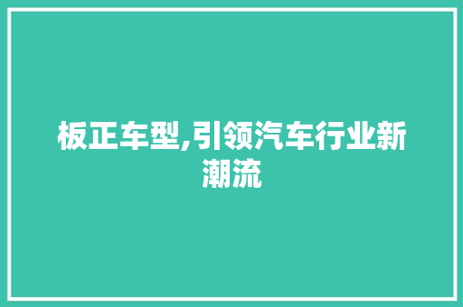 板正车型,引领汽车行业新潮流