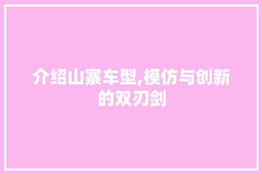 介绍山寨车型,模仿与创新的双刃剑
