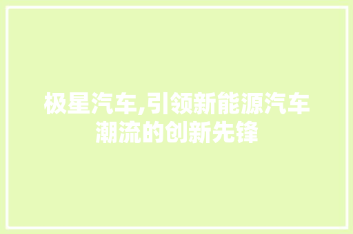 极星汽车,引领新能源汽车潮流的创新先锋
