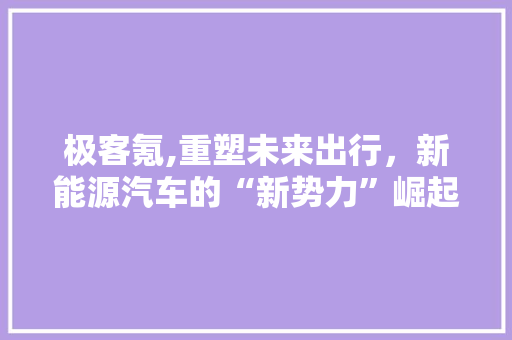 极客氪,重塑未来出行，新能源汽车的“新势力”崛起