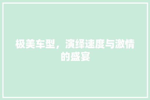 极美车型，演绎速度与激情的盛宴