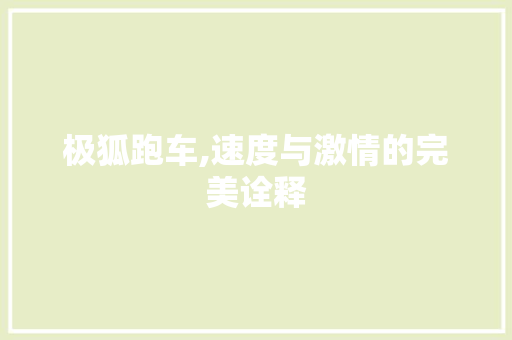 极狐跑车,速度与激情的完美诠释