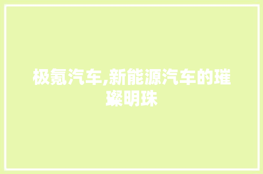 极氪汽车,新能源汽车的璀璨明珠