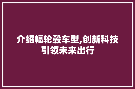 介绍幅轮毂车型,创新科技引领未来出行