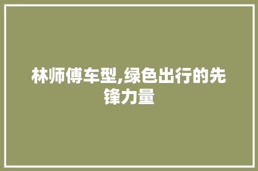 林师傅车型,绿色出行的先锋力量