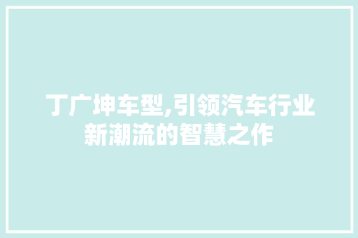 丁广坤车型,引领汽车行业新潮流的智慧之作