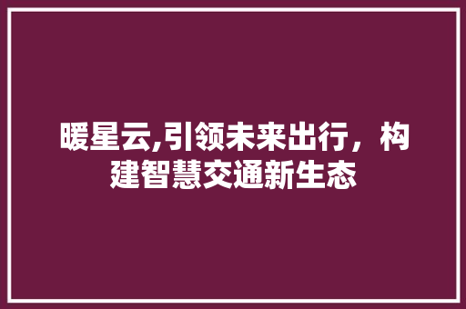 暖星云,引领未来出行，构建智慧交通新生态
