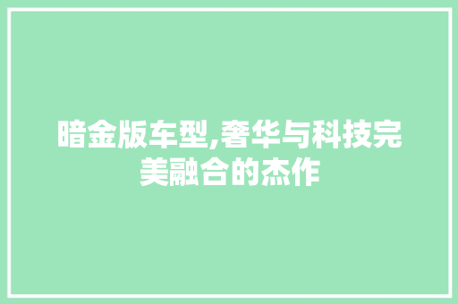 暗金版车型,奢华与科技完美融合的杰作