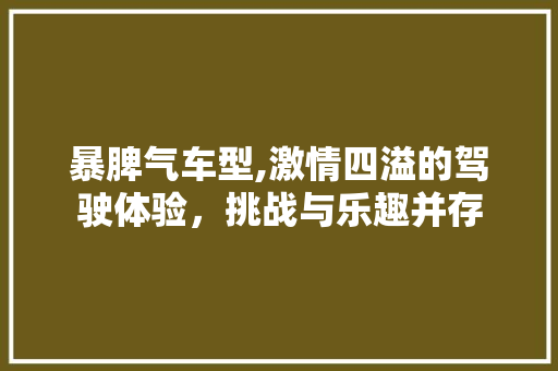 暴脾气车型,激情四溢的驾驶体验，挑战与乐趣并存