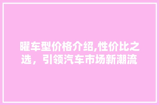 曜车型价格介绍,性价比之选，引领汽车市场新潮流
