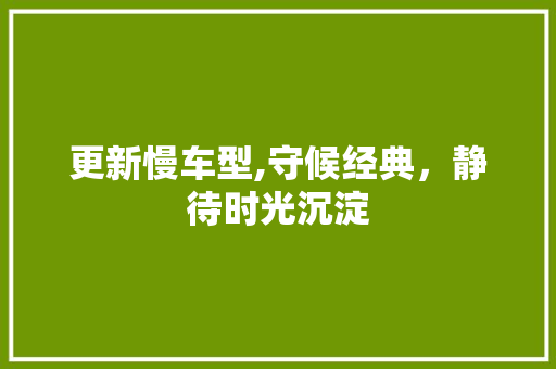 更新慢车型,守候经典，静待时光沉淀