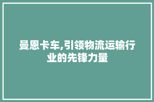 曼恩卡车,引领物流运输行业的先锋力量