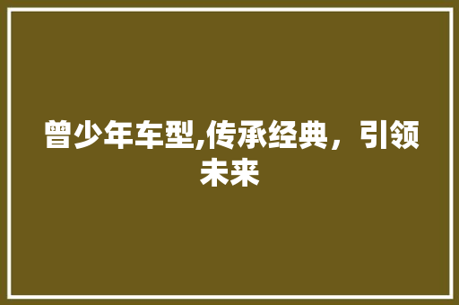 曾少年车型,传承经典，引领未来
