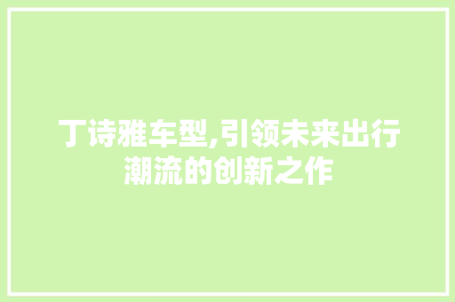 丁诗雅车型,引领未来出行潮流的创新之作