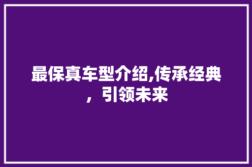 最保真车型介绍,传承经典，引领未来