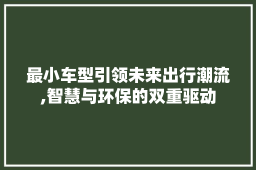 最小车型引领未来出行潮流,智慧与环保的双重驱动