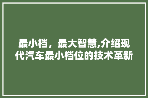最小档，最大智慧,介绍现代汽车最小档位的技术革新