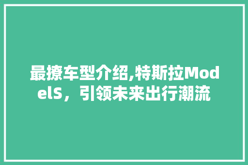 最撩车型介绍,特斯拉ModelS，引领未来出行潮流
