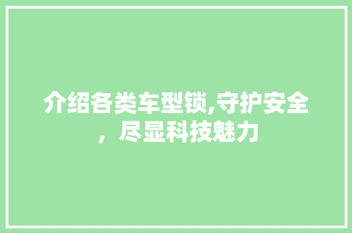 介绍各类车型锁,守护安全，尽显科技魅力