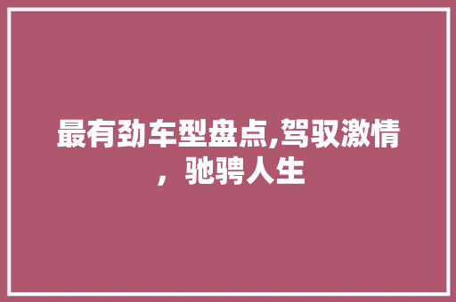 最有劲车型盘点,驾驭激情，驰骋人生