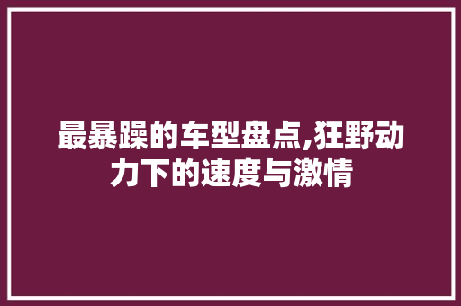 最暴躁的车型盘点,狂野动力下的速度与激情