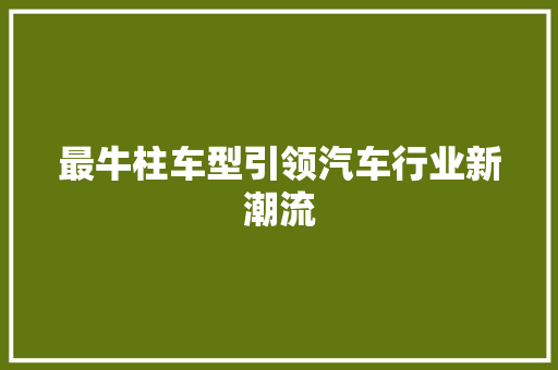 最牛柱车型引领汽车行业新潮流