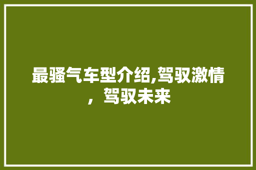 最骚气车型介绍,驾驭激情，驾驭未来