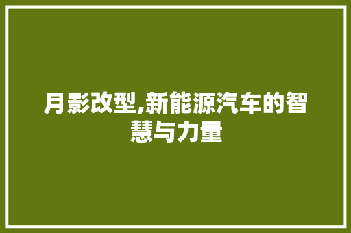 月影改型,新能源汽车的智慧与力量