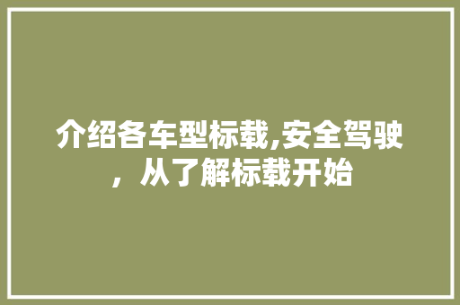 介绍各车型标载,安全驾驶，从了解标载开始