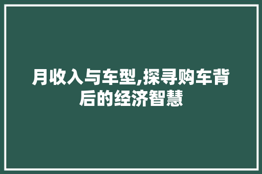 月收入与车型,探寻购车背后的经济智慧