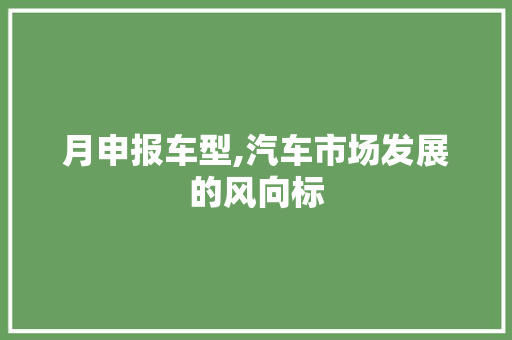 月申报车型,汽车市场发展的风向标