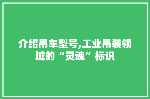介绍吊车型号,工业吊装领域的“灵魂”标识