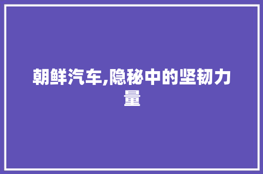 朝鲜汽车,隐秘中的坚韧力量