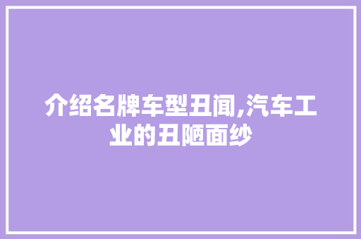 介绍名牌车型丑闻,汽车工业的丑陋面纱