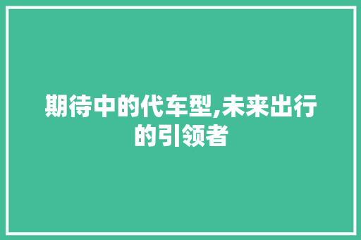 期待中的代车型,未来出行的引领者